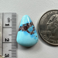 Golden Hills Lavender Turquoise