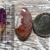 Crazy Lace Agate