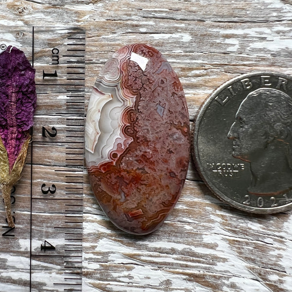 Crazy Lace Agate