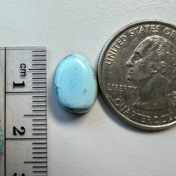 Golden Hills Lavender Turquoise