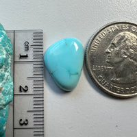 Golden Hills Lavender Turquoise