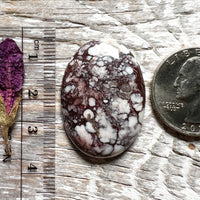 Wild Horse Magnasite
