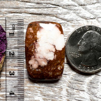 Wild Horse Magnasite