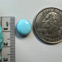 Golden Hills Lavender Turquoise