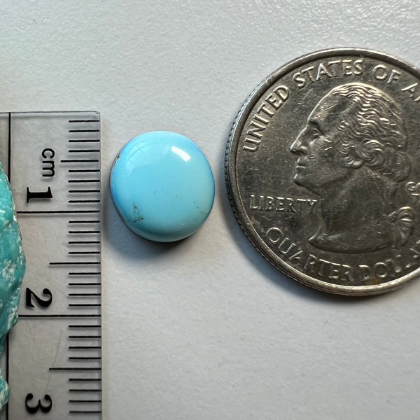Golden Hills Lavender Turquoise