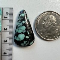 Desert Bloom Variscite
