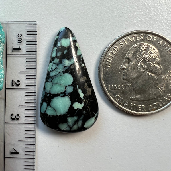 Desert Bloom Variscite