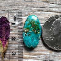 Sonoran Gold Turquoise
