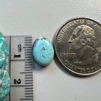 Golden Hills Lavender Turquoise