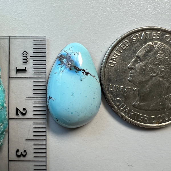 Golden Hills Lavender Turquoise