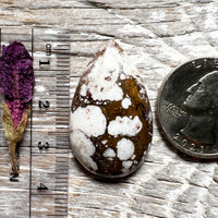 Wild Horse Magnasite