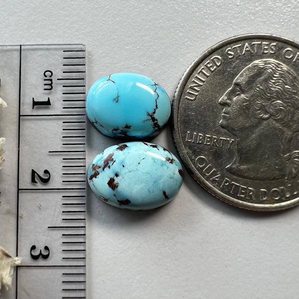 Golden Hills Lavender Turquoise