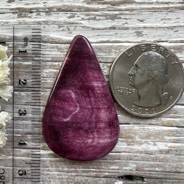 Spiny Oyster Shell Purple