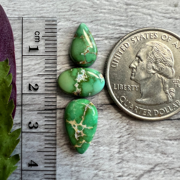 Sonoran Gold Turquoise