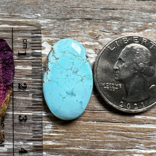 Golden Hills Lavender Turquoise