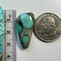 Desert Bloom Variscite