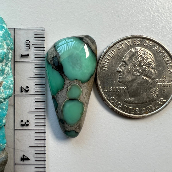 Desert Bloom Variscite