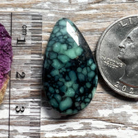 Desert Bloom Variscite
