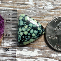 Desert Bloom Variscite