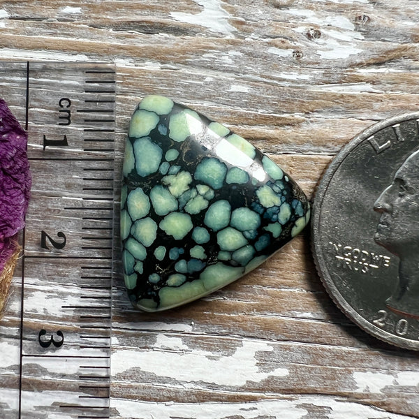 Desert Bloom Variscite