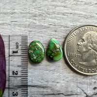Sonoran Gold Turquoise