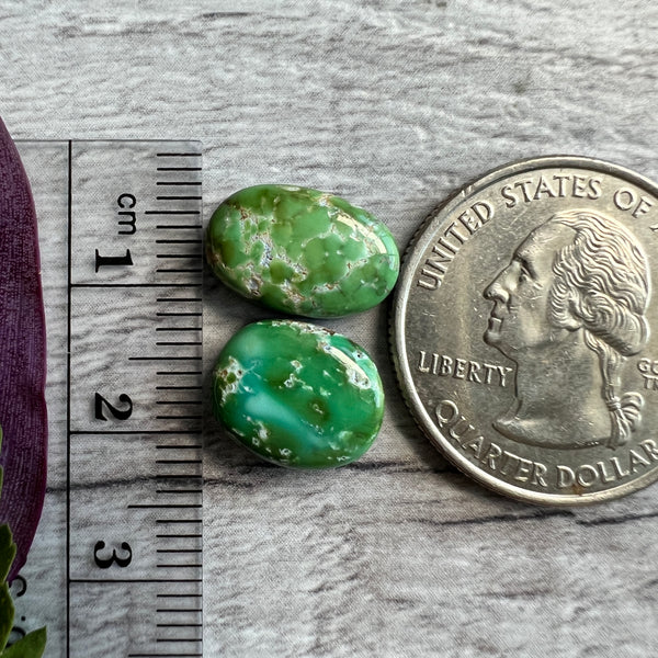 Sonoran Gold Turquoise