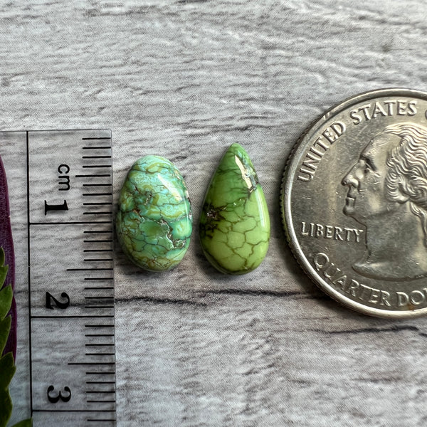 Sonoran Gold Turquoise