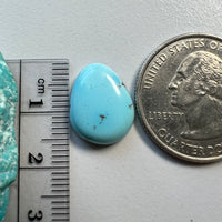 Golden Hills Lavender Turquoise