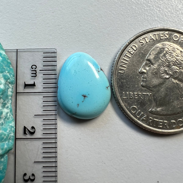 Golden Hills Lavender Turquoise